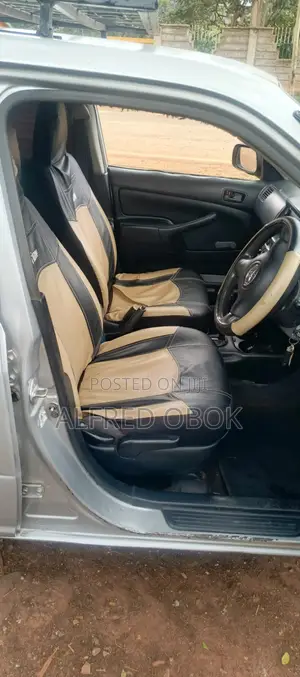 Toyota Probox 2010 Gray