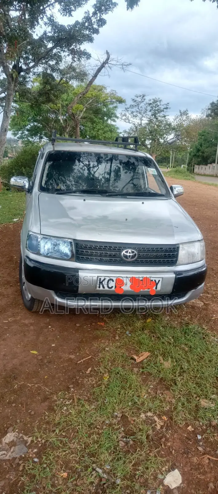 Toyota Probox 2010 Gray