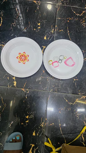 6pcs Mellamine Dinner Plates
