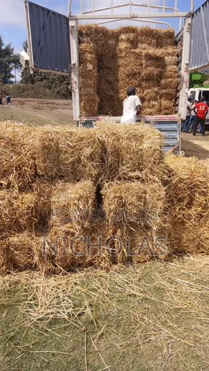 Boma Rhodes,barley Straws,wheat Straws and Star Grass Available