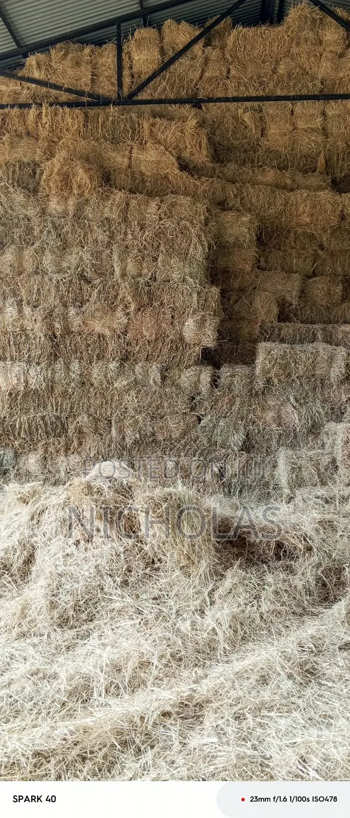 Boma Rhodes,barley Straws,wheat Straws and Star Grass Available