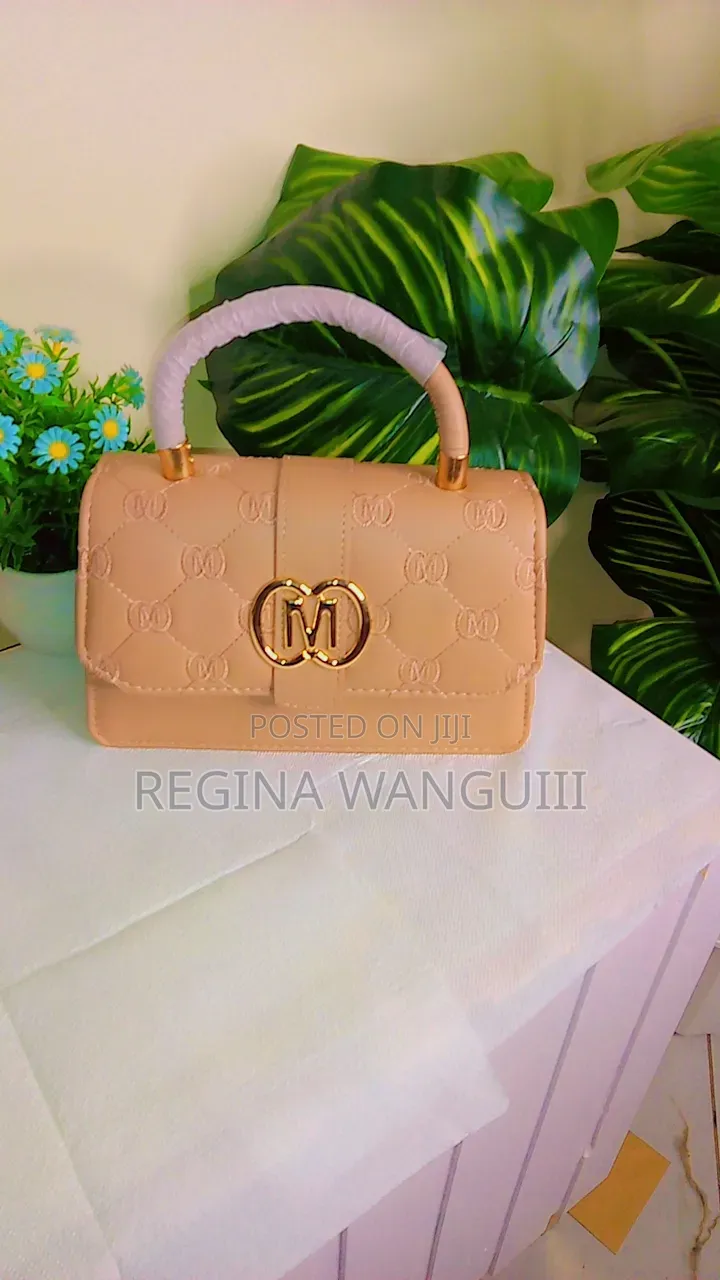 Ladies Hand Bags