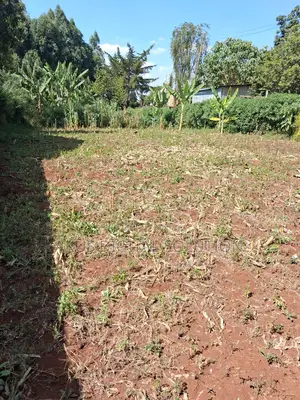 Prime Plots for Sale in Kikuyu (50X100)
