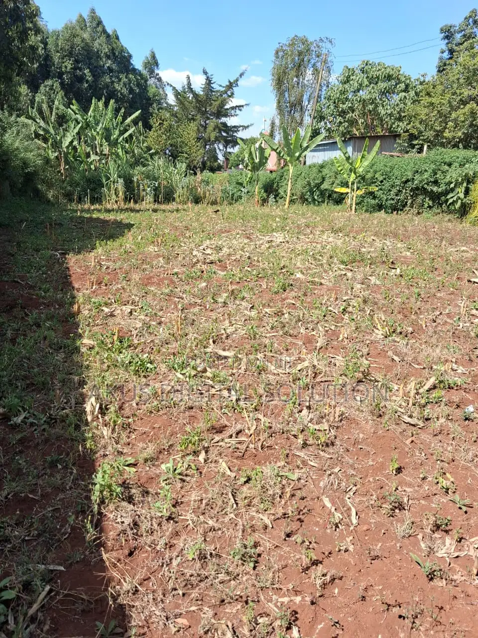 Prime Plots for Sale in Kikuyu (50X100)