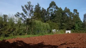 0.25 Acres for Sale Near Kitale Airstrip, 1.3 Km From the Tarmac