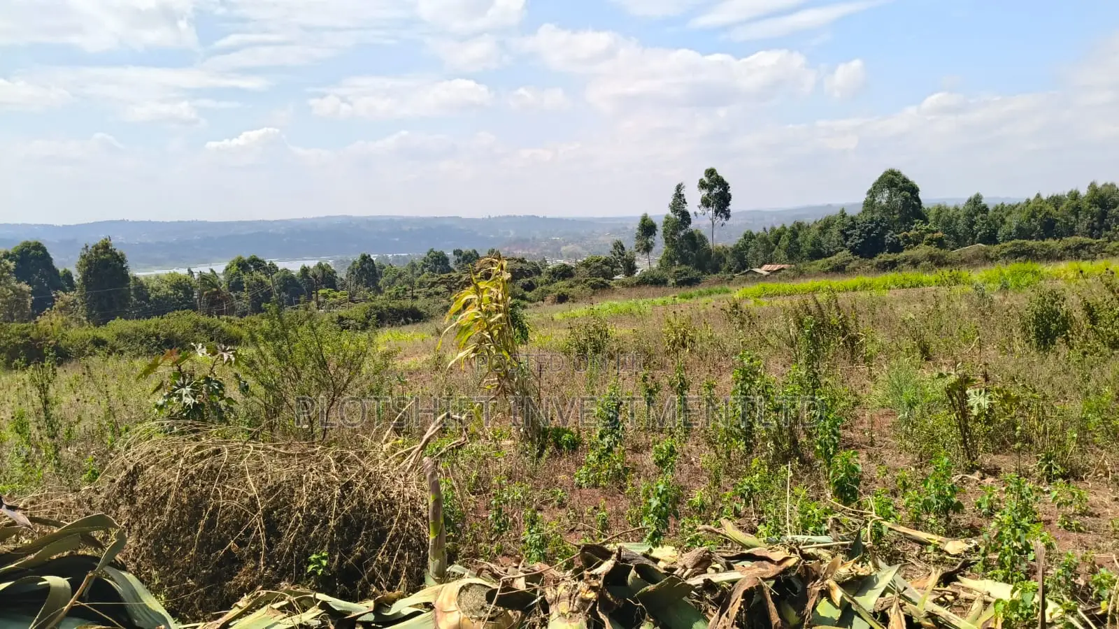 3.5 Acres for Sale in Gikambura Jambo TV