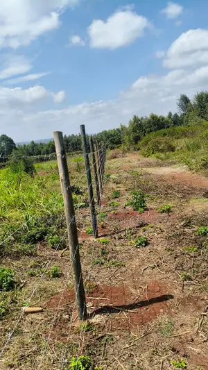 3.5 Acres for Sale in Gikambura Jambo TV