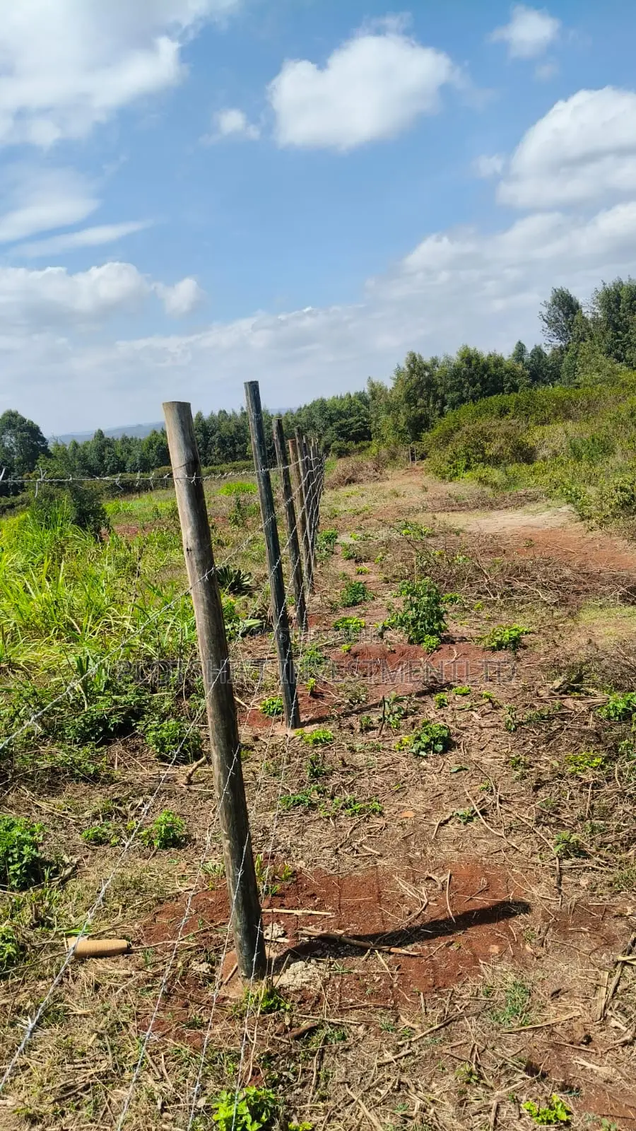 3.5 Acres for Sale in Gikambura Jambo TV