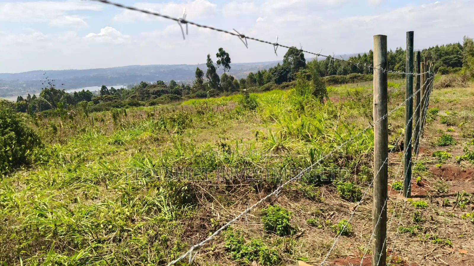 3.5 Acres for Sale in Gikambura Jambo TV