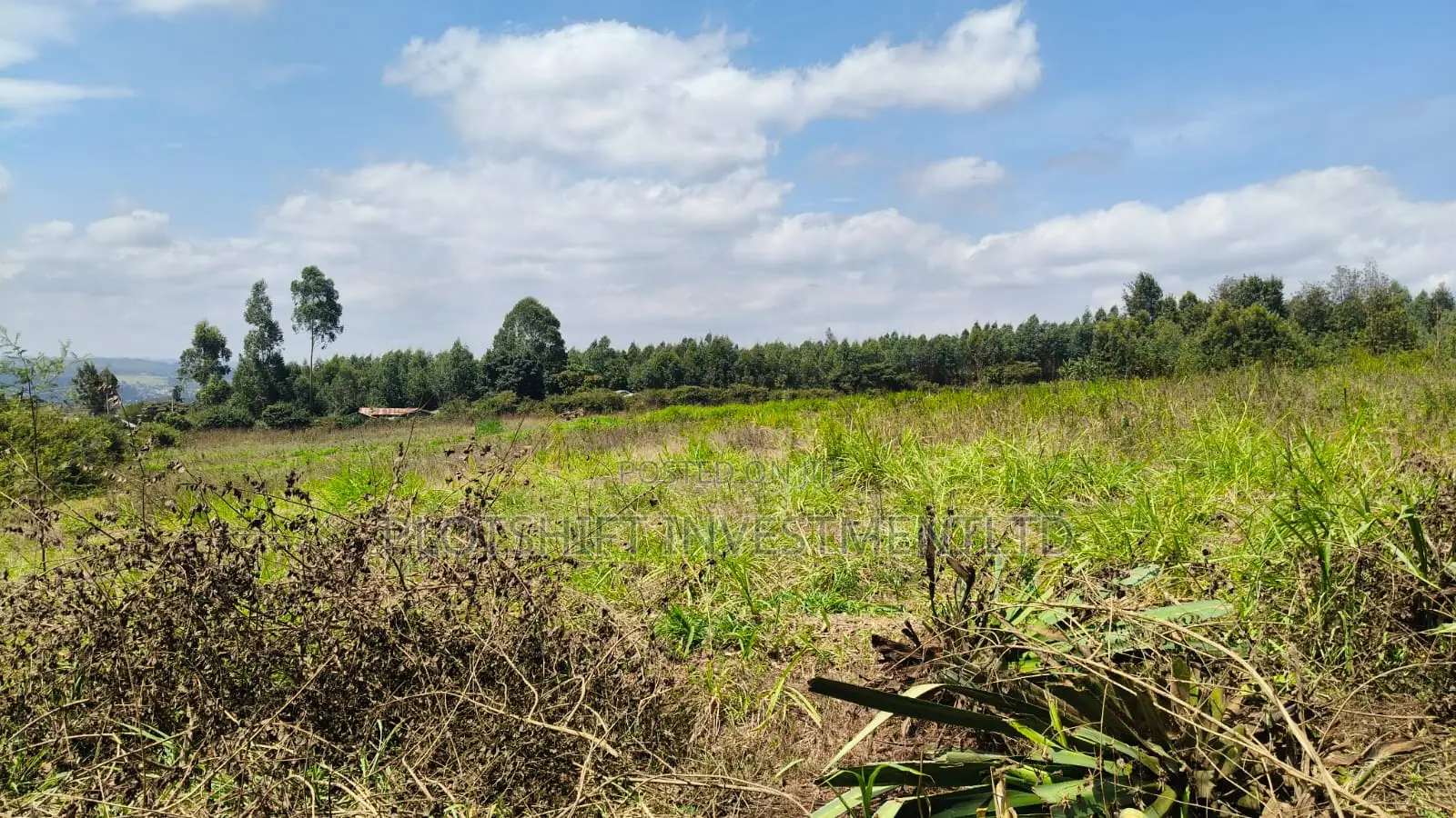 3.5 Acres for Sale in Gikambura Jambo TV