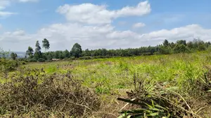 3.5 Acres for Sale in Gikambura Jambo TV