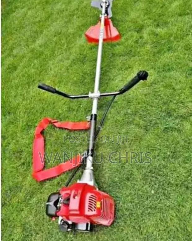 Back Pack Brush Cutter 2 Stroke - main view