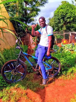 Bicycle Sale
