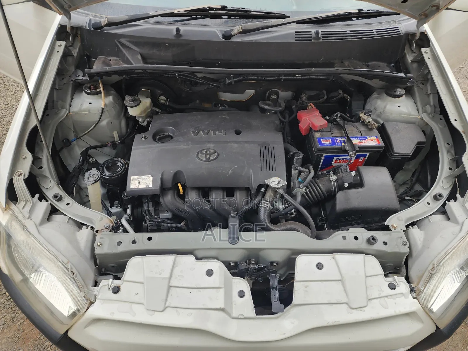 Toyota Probox 1.5 F 2WD 2015 White