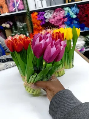 5pcs Set Tulip Flowers - Ks