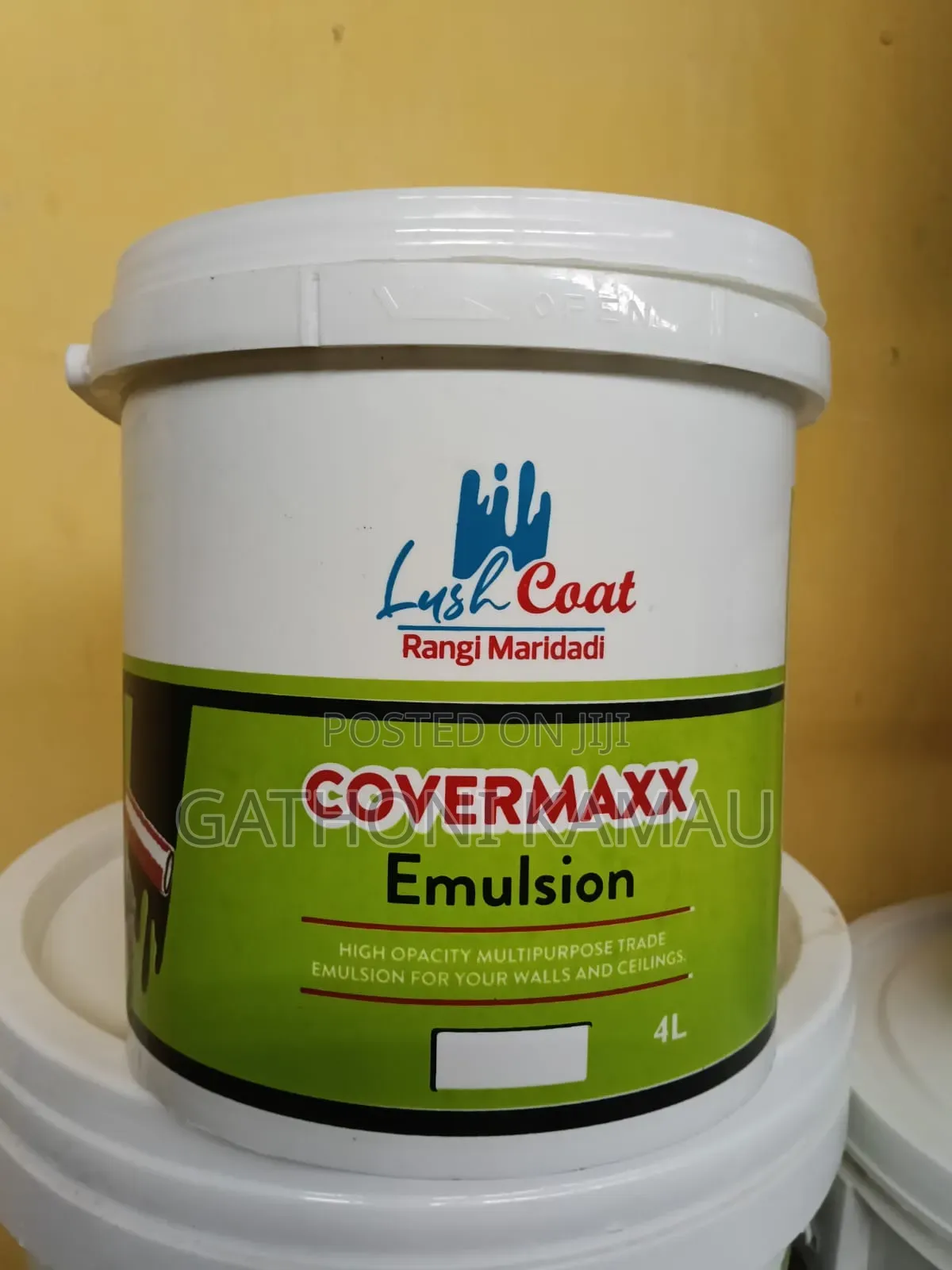 House Paint