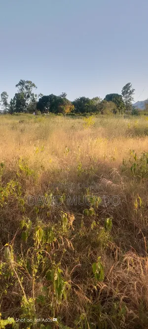 Prime 4 Acres