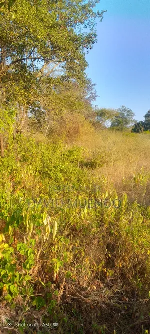 Prime 4 Acres