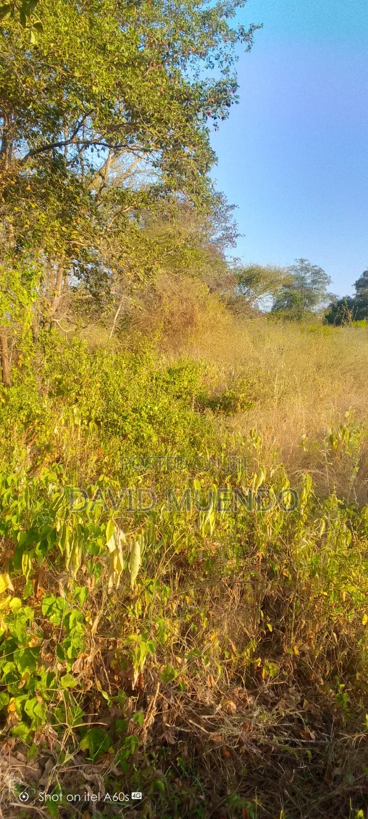 Prime 4 Acres