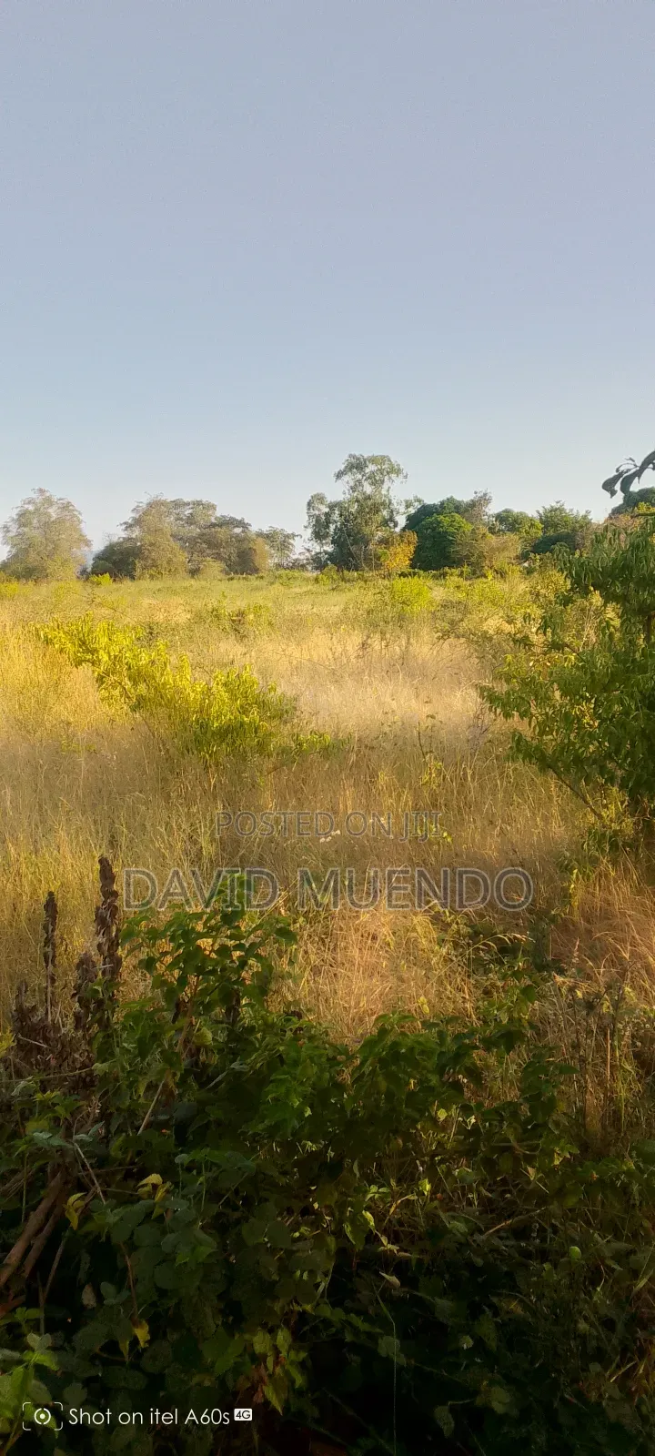 Prime 4 Acres
