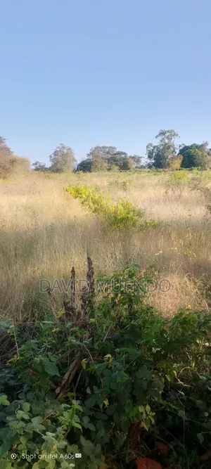 Prime 4 Acres