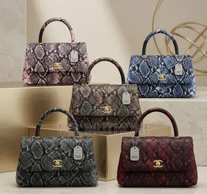 Chanel Python Coco Handle Flap Bag