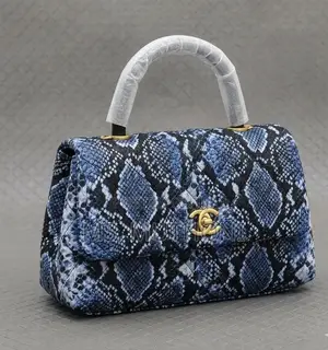 Chanel Python Coco Handle Flap Bag