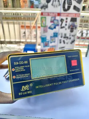 Bolaimei BLM-866C 12V 24V Intelligent Car Battery Charger 15A
