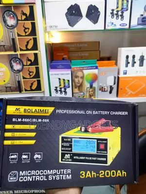 Bolaimei BLM-866C 12V 24V Intelligent Car Battery Charger 15A