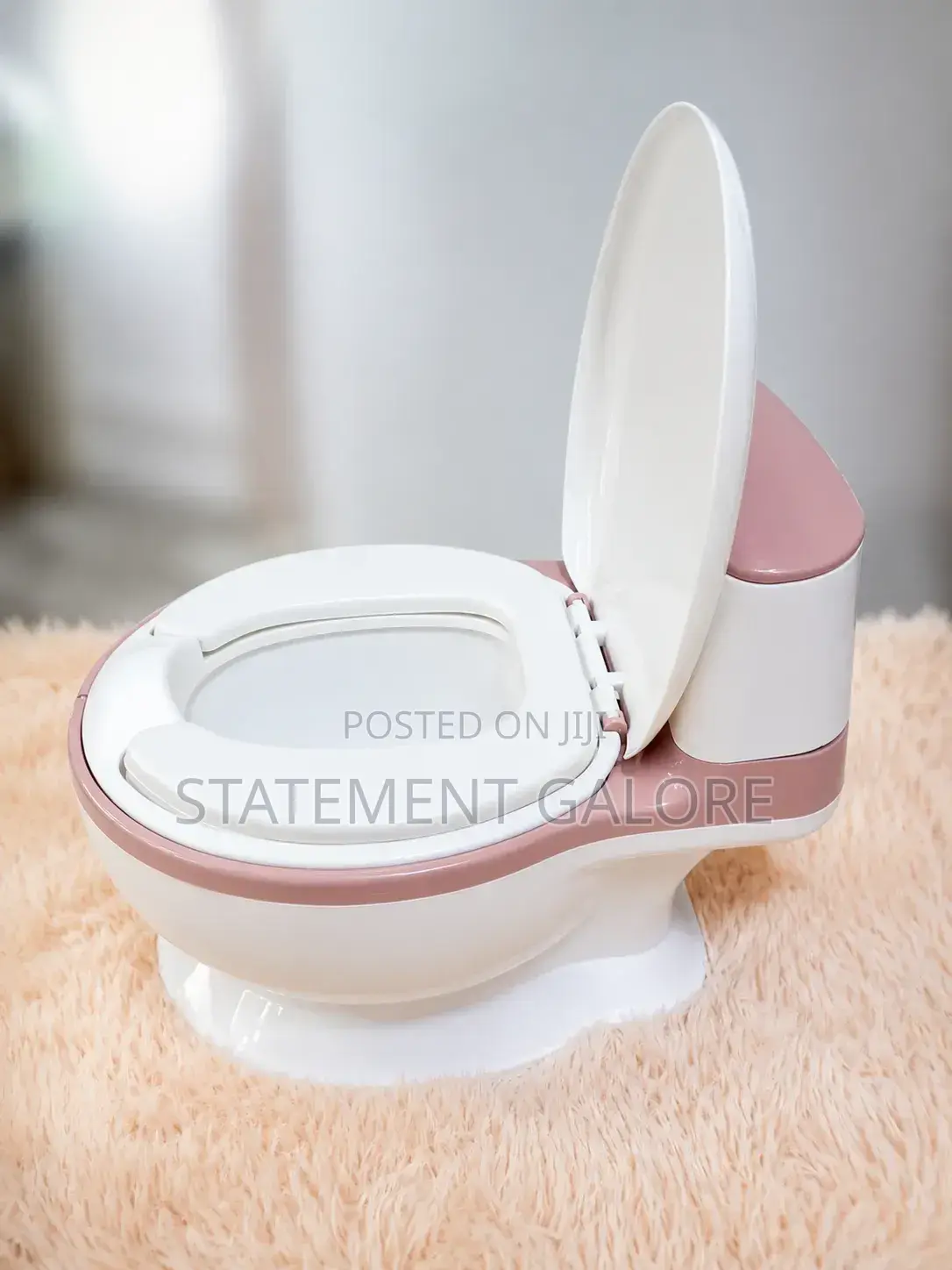 Trainer Potty
