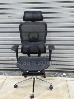 Ergoflex Pro Orthopedic Mesh Office Chair With Footrest