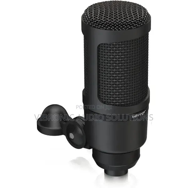 Behringer BX2020 Condenser Microphone