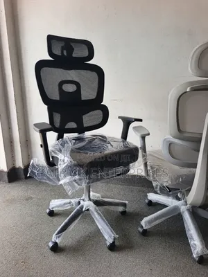 High-Back Ergonomic Office Chairs With Adjustable Headrests, Arms