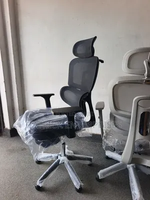 High-Back Ergonomic Office Chairs With Adjustable Headrests, Arms