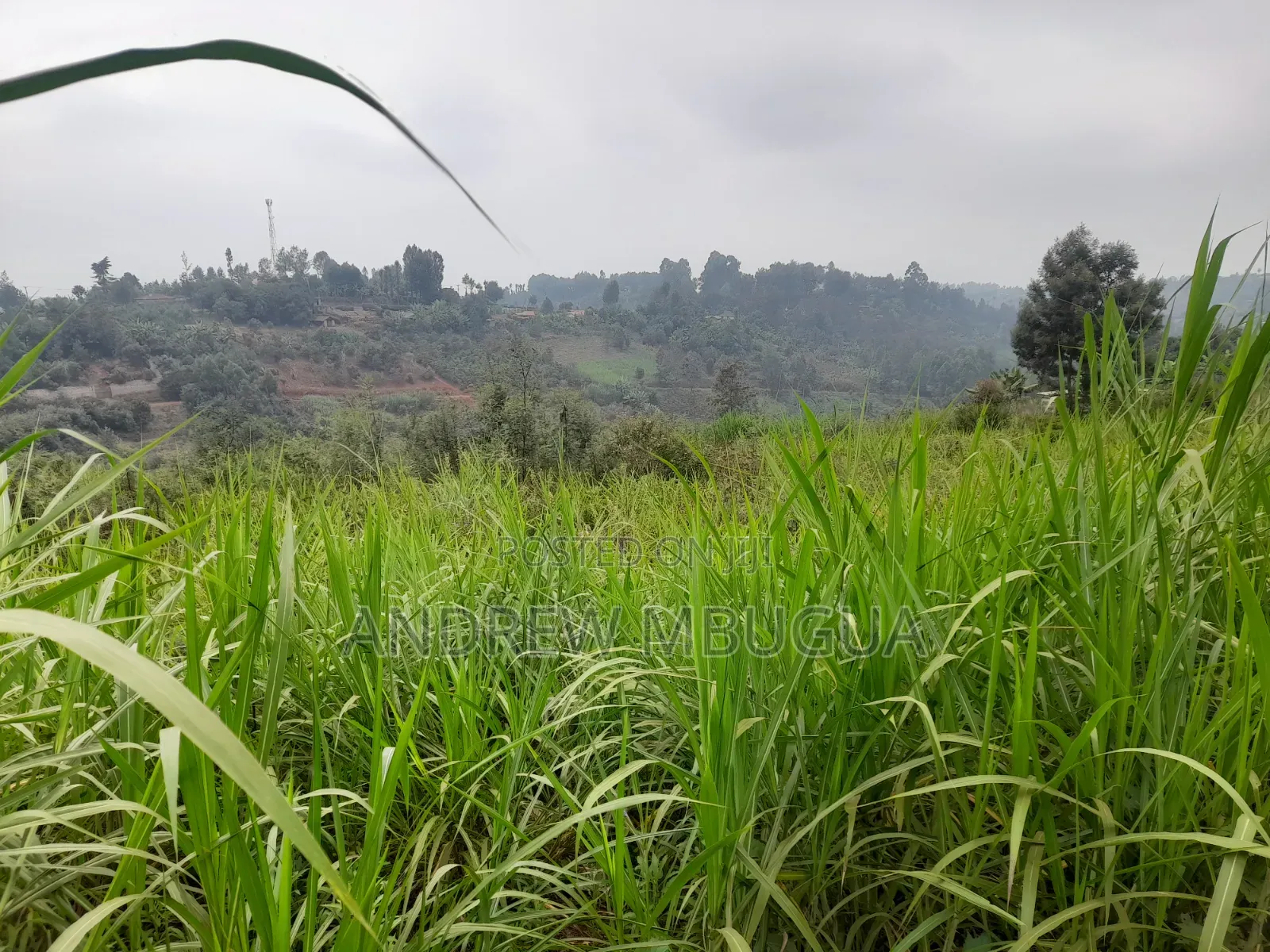 Kanyoni Area Quarter Acre 50 Metres From Thika Uplands Highway