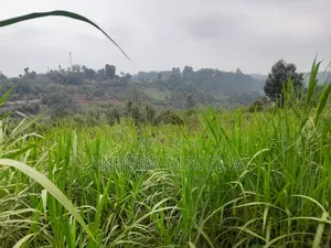 Kanyoni Area Quarter Acre 50 Metres From Thika Uplands Highway