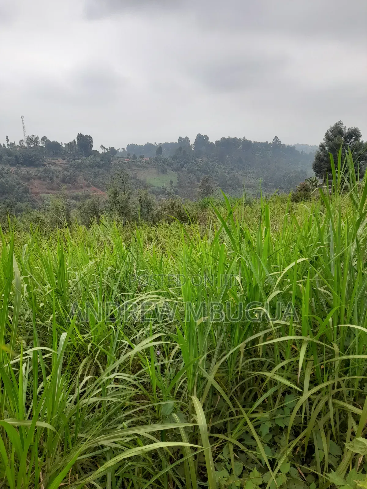 Kanyoni Area Quarter Acre 50 Metres From Thika Uplands Highway