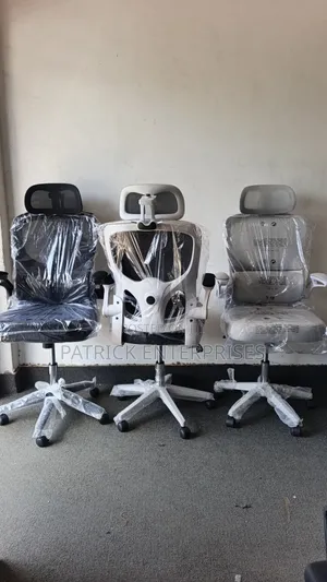 Ergonomic Mesh Office Chairs With Adjustable Headrests, Arms