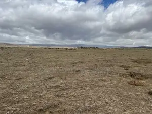 1 Acre Plots for Sale in Naivasha for Sale 5 Million in Cash