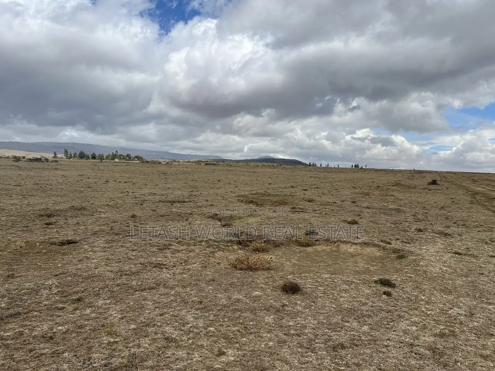 1 Acre Plots for Sale in Naivasha for Sale 5 Million in Cash