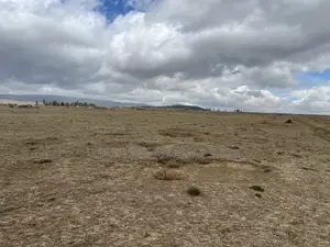 1 Acre Plots for Sale in Naivasha for Sale 5 Million in Cash