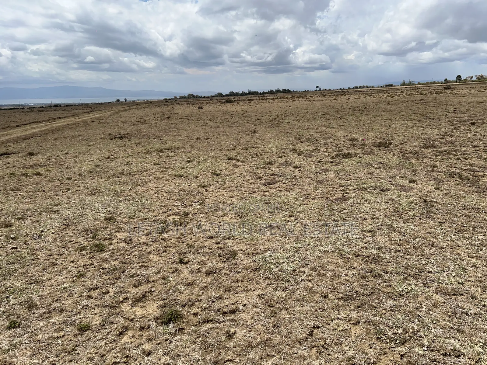 1 Acre Plots for Sale in Naivasha for Sale 5 Million in Cash