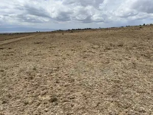 1 Acre Plots for Sale in Naivasha for Sale 5 Million in Cash