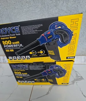 Handheld 2-in-1 Royce 800W Blower
