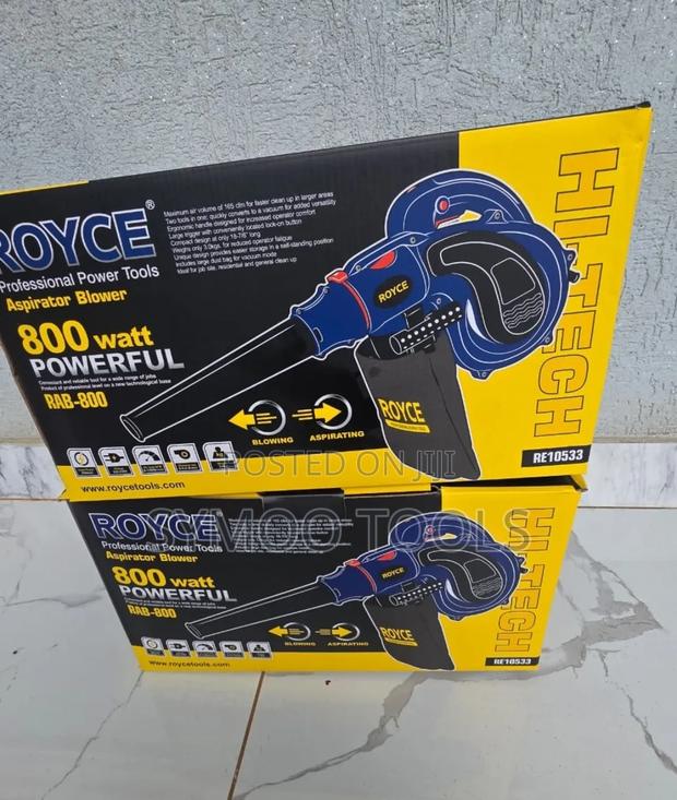 Handheld 2-in-1 Royce 800W Blower - main view