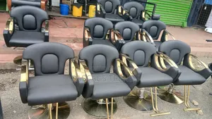 Salon Chairs