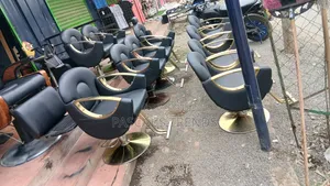 Salon Chairs