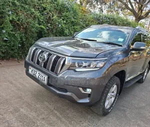 Toyota Land Cruiser Prado 2020 Gray