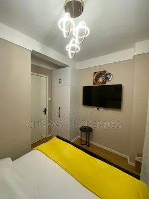 Furnished Mini Flat in Ngong Road, Nairobi Central for rent