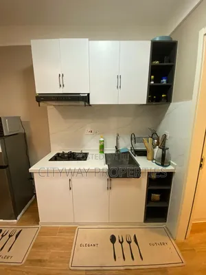 Furnished Mini Flat in Ngong Road, Nairobi Central for rent